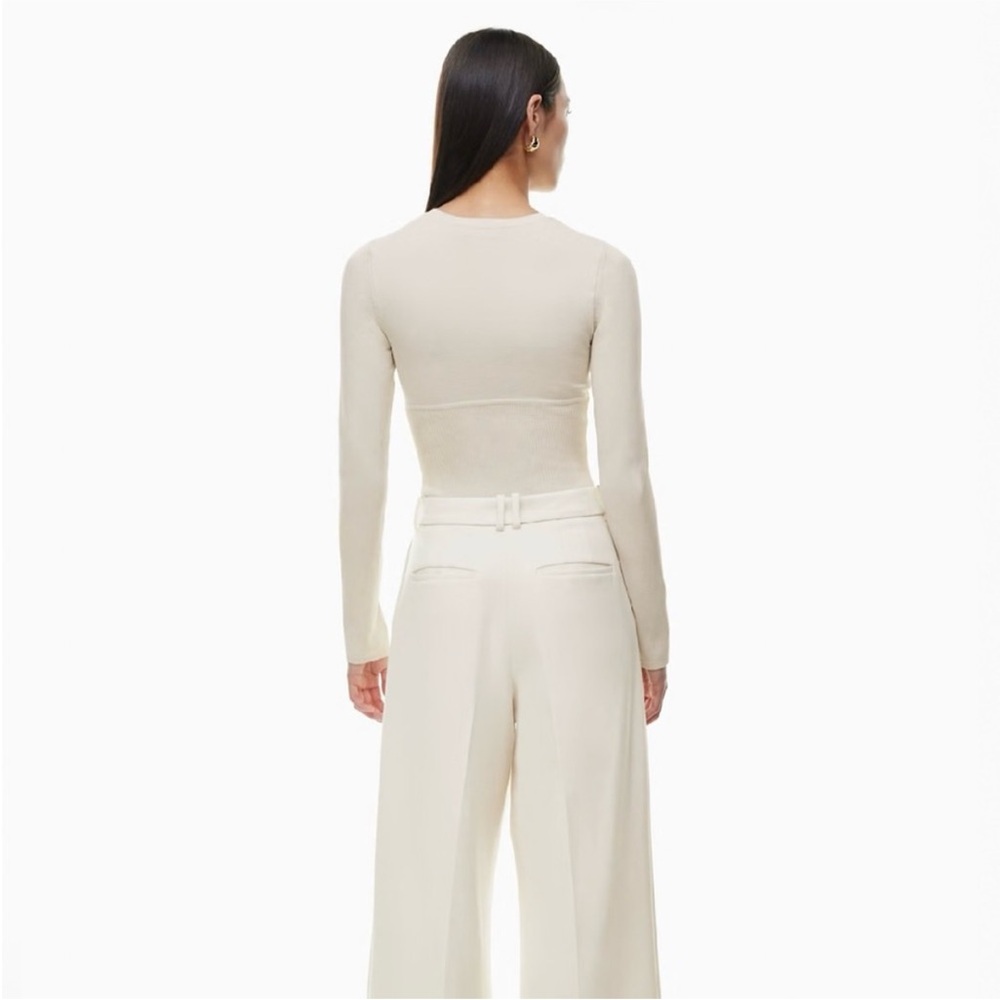 Aritzia Babaton empire sculpt long sleeve top matte pearl small - Picture 3 of 7